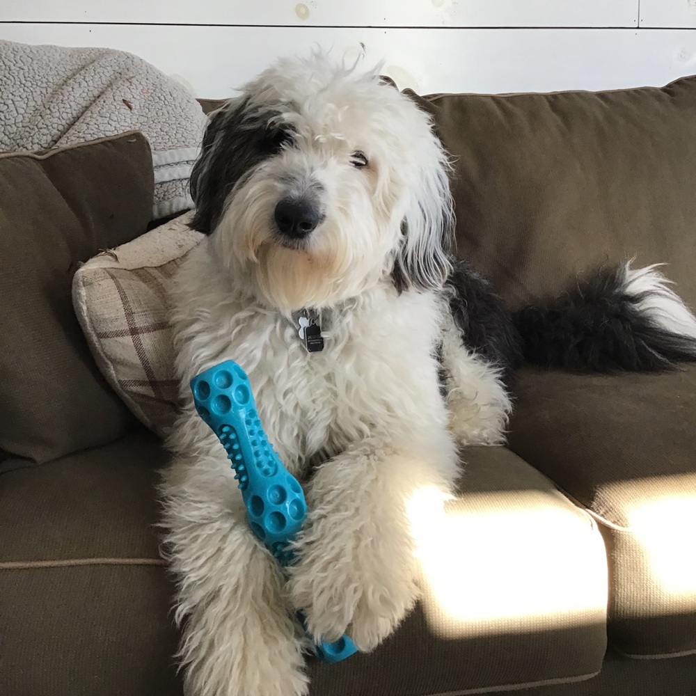 Meet your Posher, Tasha